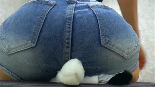 Husky crushing in short jeans
