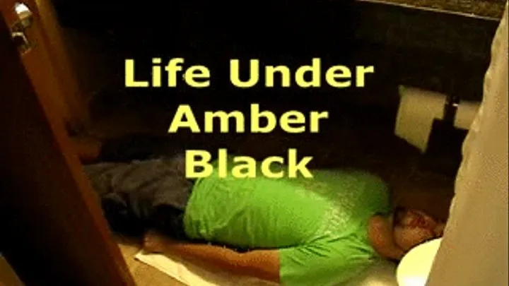 Life Under Amber Black