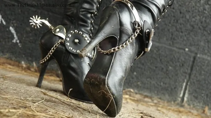 The Soles Of Her Boots.