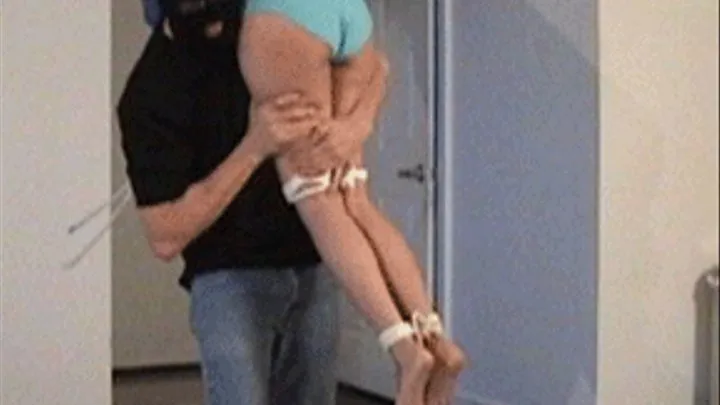 Police Woman in Bondage - Barbie