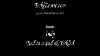 Indy Tied to a Bed & Tickled (F/M) for