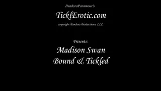 Madison Swan Bound & Tickled F-F