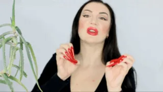 Extreme Red Stiletto Nails Worship