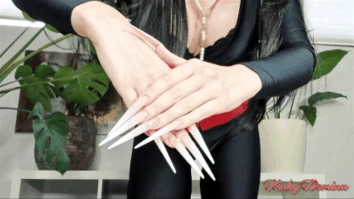 Long Stiletto Nails JOI