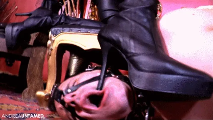 Leather Boot Slave