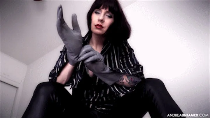 Leather Glove Interrogation