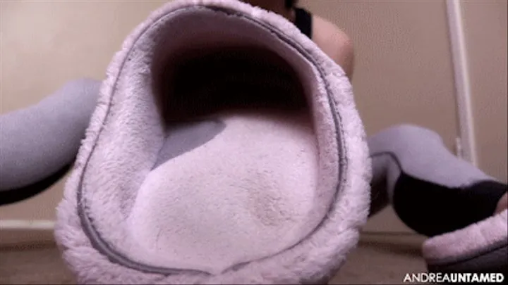 Stinky Slipper Sniffer