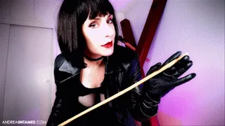 A Cruel Caning For The House Slave