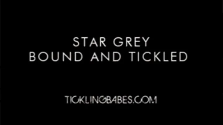 Star Grey Bound and Tickled