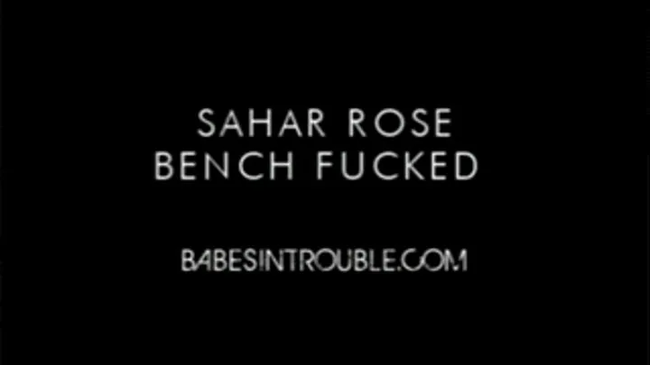 Sahar Rose Benched Fucked featuring Frank The Tank