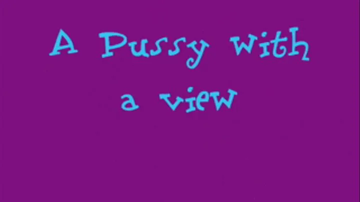 A Pussy with a View