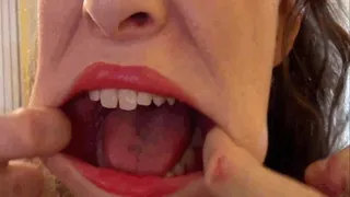 Mouth Tour Conducted by Lauren Kiley