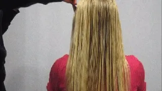 Separation of wet hair 6 (B)