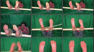 Bastinado Feet