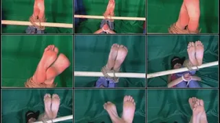 Falaka Feet