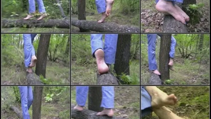 Barefoot Forest