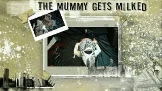 Zebra Sexy Superhero fucks the Mummy Everyway Possible PART 1 IPOD