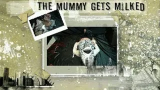 Zebra Sexy Superhero fucks the Mummy Everyway Possible Full Version IPOD