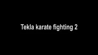 Tekla Karate Fighting 2