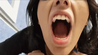 FEEL MY BIZARRE BAD BREATH - TOP GIRL FLAVIA FOX - NEW KC 2019 - CLIP 8