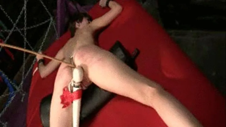 Raven Caned Clip 3