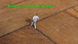 GIANTESS FOOT REVENGE - size comparison, foot fetish, shrunken man