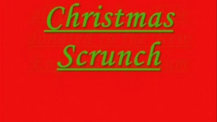 Christmas Scrunch