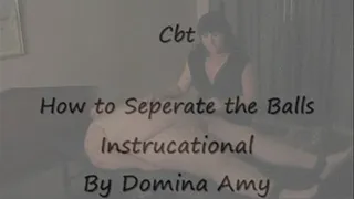 CBT Instructional issue 1