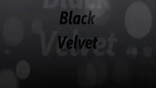 Black Velvet