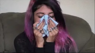 Jasmine- Blue Tissues- Nose Blow