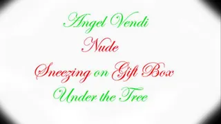 Vendi- Nude- Sneezing on a Gift Box