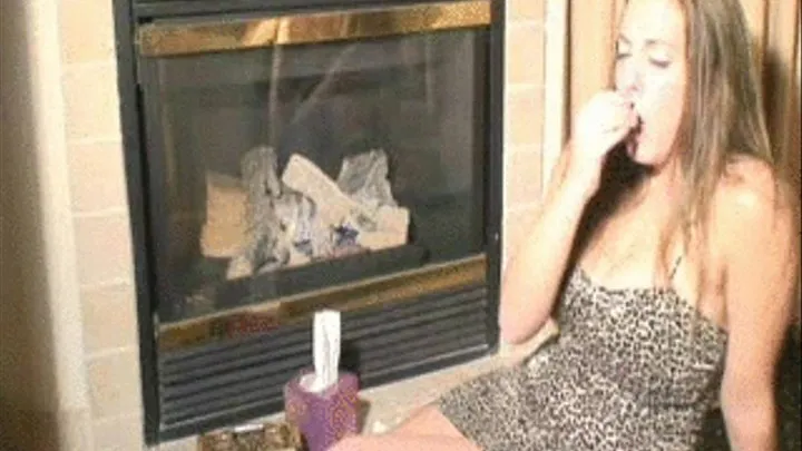 Angel Lisa- Leopard Fireplace Sneeze Fest