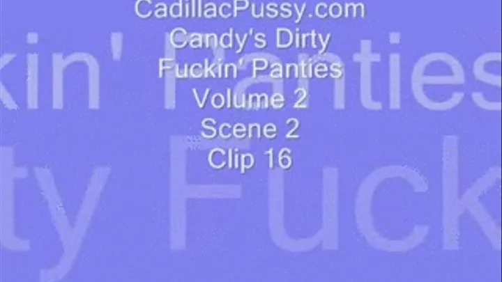 Candy's Dirty Fuckin' Panties Vol. 2 Scene 2 Clip 16