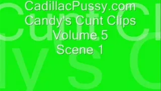 Candy's Cunt Clips Volume 5 Scene 1