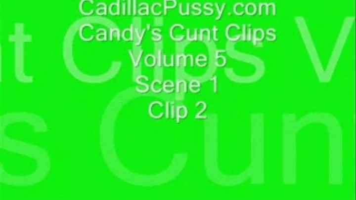 Candy's Cunt Clips Volume 5 Scene 1 Clip 2