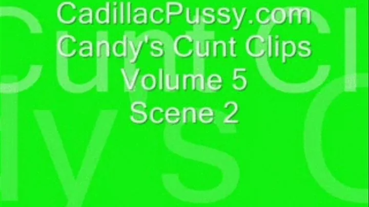 Candy's Cunt Clips Volume 5 Scene 2