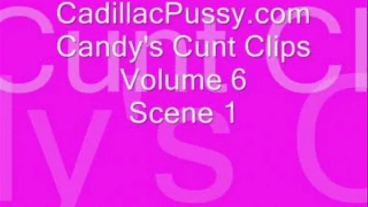 Candy's Cunt Clips Volume 6 Scene 1