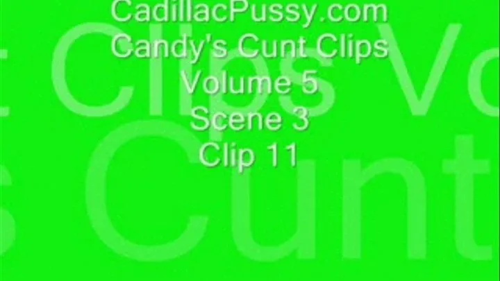 Candy's Cunt Clips Volume 5 Scene 3 Clip 11