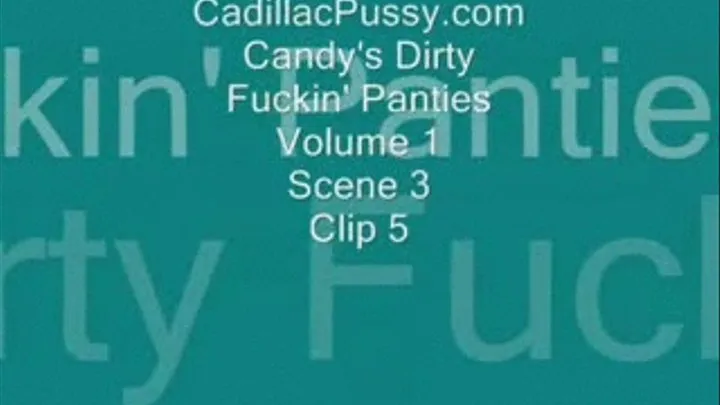 Candy's Dirty Fuckin' Panties Vol. 1 Scene 3 Clip 5