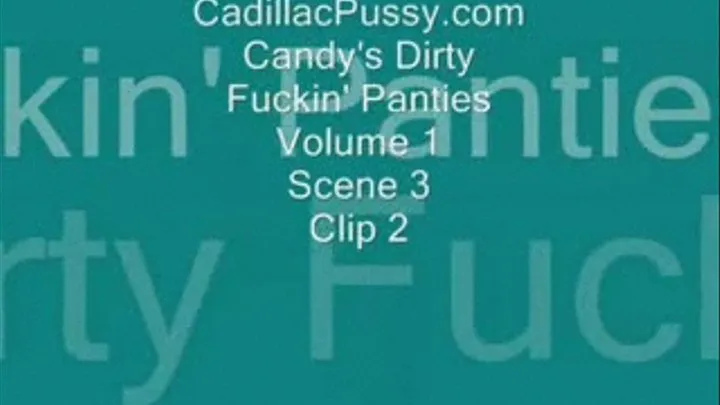 Candy's Dirty Fuckin' Panties Vol. 1 Scene 3 Clip 2