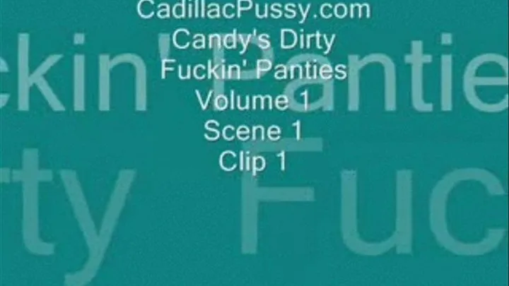 Candy's Dirty Fuckin' Panties Vol. 1 Scene 1 Clip 1