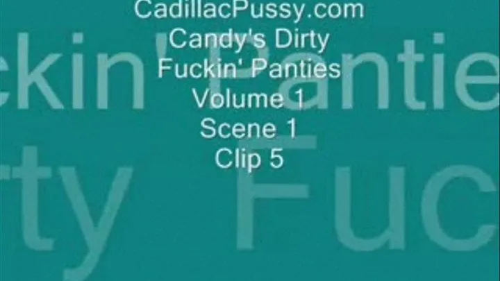 Candy's Dirty Fuckin' Panties Vol. 1 Scene 1 Clip 5