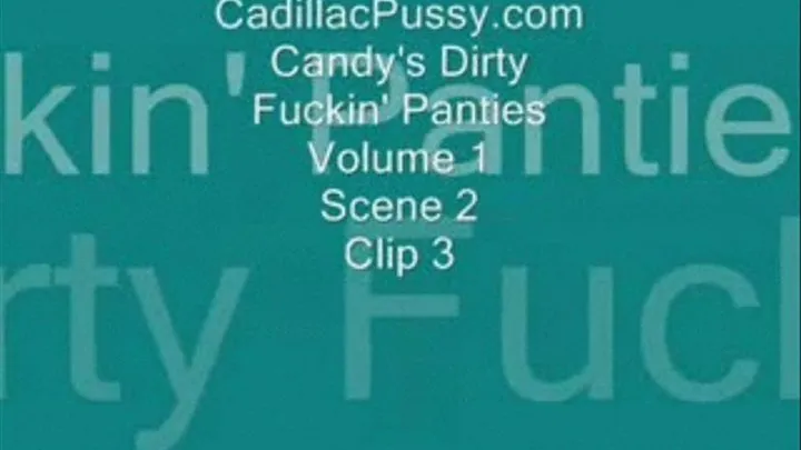 Candy's Dirty Fuckin' Panties Vol. 1 Scene 2 Clip 3