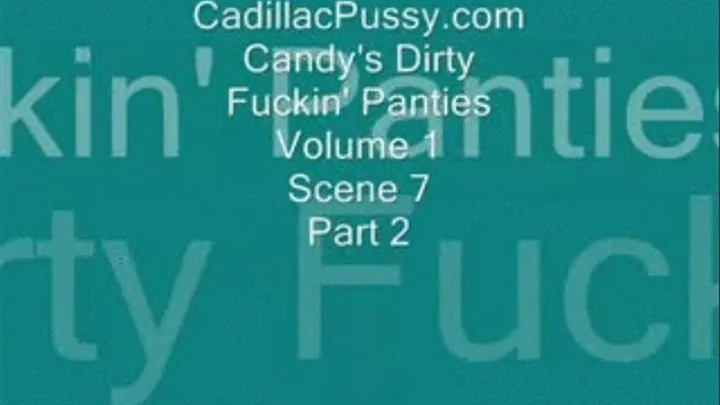 Candy's Dirty Fuckin' Panties Vol. 1 Scene 7 Part 2