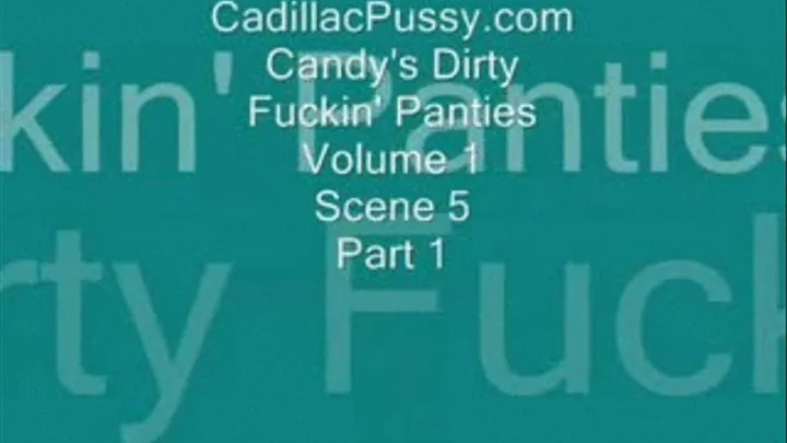 Candy's Dirty Fuckin' Panties Vol. 1 Scene 5 Part 1