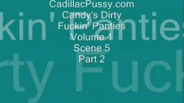 Candy's Dirty Fuckin' Panties Vol. 1 Scene 5 Part 2