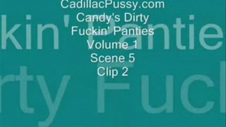 Candy's Dirty Fuckin' Panties Vol. 1 Scene 5 Clip 2