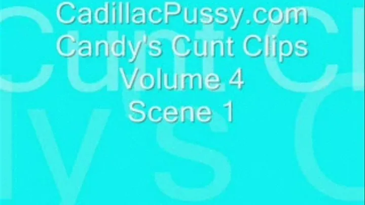 Candy's Cunt Clips Volume 4 Scene 1