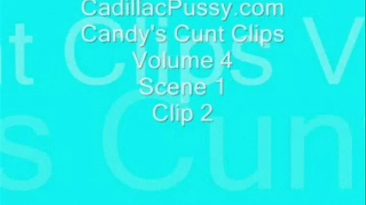 Candy's Cunt Clips Volume 4 Scene 1 Clip 2