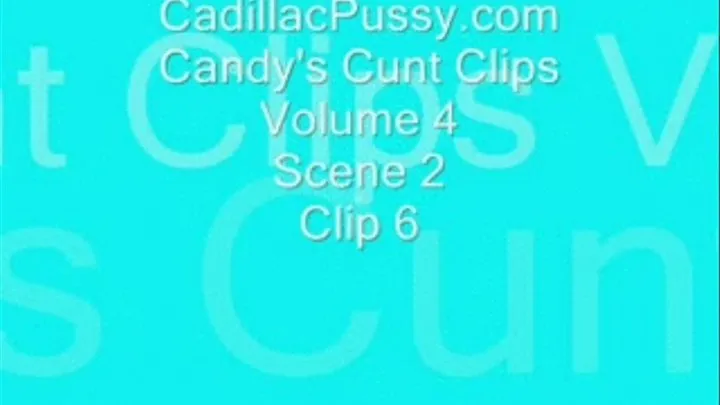 Candy's Cunt Clips Volume 4 Scene 2 Clip 6